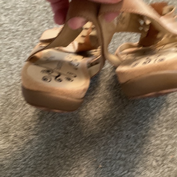 Bare traps - Picture 6 of 8